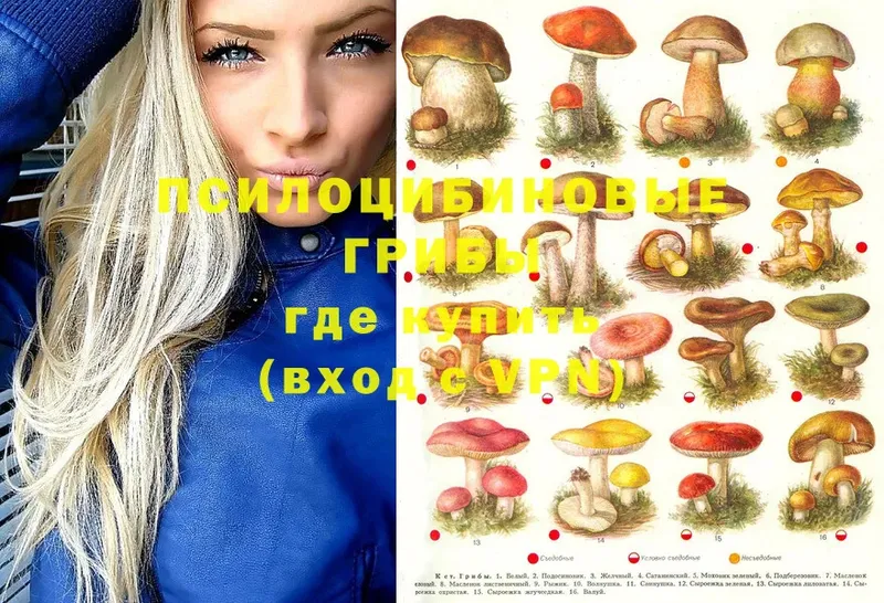 Псилоцибиновые грибы Magic Shrooms  Маркс 